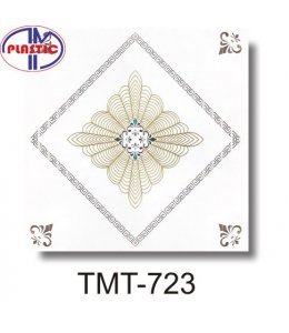 TMT 723